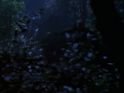 extant_StarTrek_VOY_6x14-Memorial_00959.jpg
