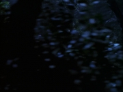 extant_StarTrek_VOY_6x14-Memorial_00960.jpg