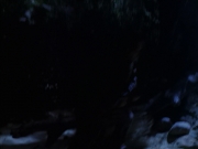 extant_StarTrek_VOY_6x14-Memorial_00969.jpg