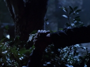 extant_StarTrek_VOY_6x14-Memorial_00991.jpg