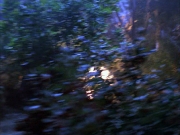 extant_StarTrek_VOY_6x14-Memorial_01017.jpg