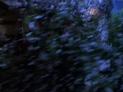 extant_StarTrek_VOY_6x14-Memorial_01019.jpg