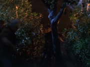 Filename=extant_StarTrek_VOY_6x14-Memorial_01713.jpg
Filesize=207KiB
Dimensions=1200x900
Date added=Jan 02, 2020 extant_StarTrek_VOY_6x14-Memorial_01713.jpg