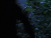 Filename=extant_StarTrek_VOY_6x14-Memorial_01717.jpg
Filesize=126KiB
Dimensions=1200x900
Date added=Jan 02, 2020 extant_StarTrek_VOY_6x14-Memorial_01717.jpg