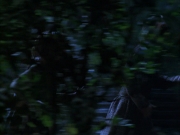 Filename=extant_StarTrek_VOY_6x14-Memorial_01718.jpg
Filesize=174KiB
Dimensions=1200x900
Date added=Jan 02, 2020 extant_StarTrek_VOY_6x14-Memorial_01718.jpg
