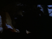 Filename=extant_StarTrek_VOY_6x14-Memorial_01803.jpg
Filesize=97KiB
Dimensions=1200x900
Date added=Jan 02, 2020 extant_StarTrek_VOY_6x14-Memorial_01803.jpg