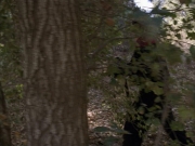 extant_StarTrek_VOY_6x14-Memorial_03019.jpg