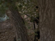 extant_StarTrek_VOY_6x14-Memorial_03020.jpg