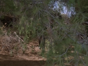 Filename=extant_StarTrek_VOY_6x14-Memorial_03141.jpg
Filesize=275KiB
Dimensions=1200x900
Date added=Jan 02, 2020 extant_StarTrek_VOY_6x14-Memorial_03141.jpg