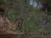 Filename=extant_StarTrek_VOY_6x14-Memorial_03142.jpg
Filesize=257KiB
Dimensions=1200x900
Date added=Jan 02, 2020 extant_StarTrek_VOY_6x14-Memorial_03142.jpg