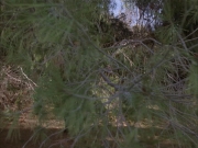 Filename=extant_StarTrek_VOY_6x14-Memorial_03143.jpg
Filesize=261KiB
Dimensions=1200x900
Date added=Jan 02, 2020 extant_StarTrek_VOY_6x14-Memorial_03143.jpg