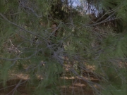 Filename=extant_StarTrek_VOY_6x14-Memorial_03144.jpg
Filesize=253KiB
Dimensions=1200x900
Date added=Jan 02, 2020 extant_StarTrek_VOY_6x14-Memorial_03144.jpg