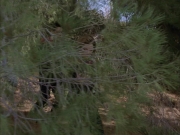 Filename=extant_StarTrek_VOY_6x14-Memorial_03146.jpg
Filesize=226KiB
Dimensions=1200x900
Date added=Jan 02, 2020 extant_StarTrek_VOY_6x14-Memorial_03146.jpg