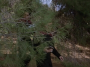 Filename=extant_StarTrek_VOY_6x14-Memorial_03147.jpg
Filesize=238KiB
Dimensions=1200x900
Date added=Jan 02, 2020 extant_StarTrek_VOY_6x14-Memorial_03147.jpg