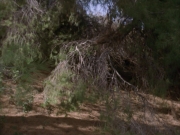 Filename=extant_StarTrek_VOY_6x14-Memorial_03161.jpg
Filesize=221KiB
Dimensions=1200x900
Date added=Jan 02, 2020 extant_StarTrek_VOY_6x14-Memorial_03161.jpg