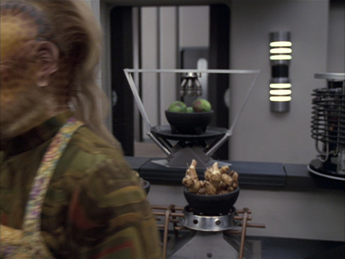 extant_StarTrek_VOY_6x15-Tsunkatse_00589.jpg