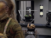 extant_StarTrek_VOY_6x15-Tsunkatse_00589.jpg