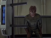 Filename=extant_StarTrek_VOY_6x15-Tsunkatse_02658.jpg
Filesize=136KiB
Dimensions=1200x900
Date added=Jan 02, 2020 extant_StarTrek_VOY_6x15-Tsunkatse_02658.jpg