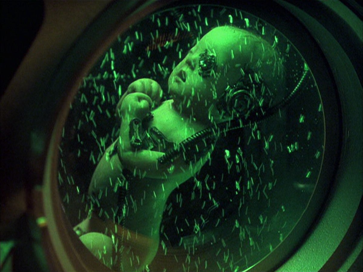 extant_StarTrek_VOY_6x16-Collective_02464.jpg