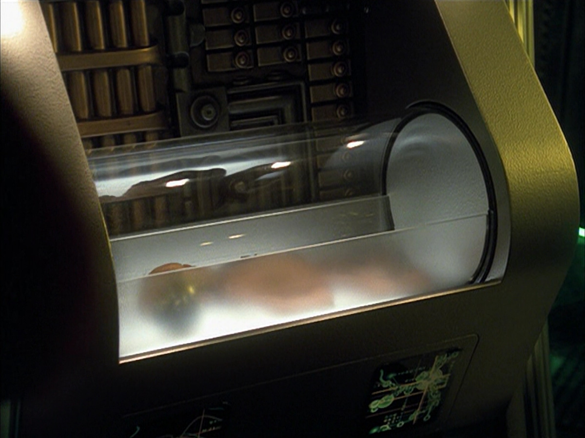 extant_StarTrek_VOY_6x16-Collective_02513.jpg