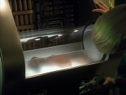 extant_StarTrek_VOY_6x16-Collective_02516.jpg