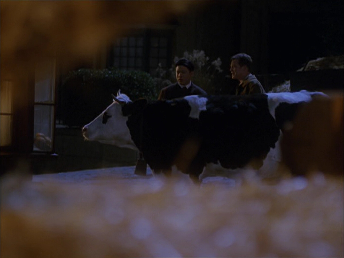 extant_StarTrek_VOY_6x17-SpiritFolk_00915.jpg