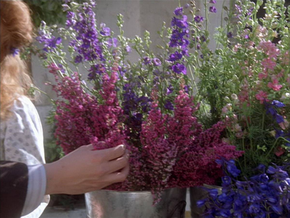extant_StarTrek_VOY_6x17-SpiritFolk_03554.jpg