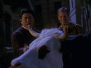 Filename=extant_StarTrek_VOY_6x17-SpiritFolk_00922.jpg
Filesize=136KiB
Dimensions=1200x900
Date added=Jan 02, 2020 extant_StarTrek_VOY_6x17-SpiritFolk_00922.jpg