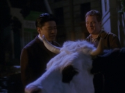 Filename=extant_StarTrek_VOY_6x17-SpiritFolk_00923.jpg
Filesize=137KiB
Dimensions=1200x900
Date added=Jan 02, 2020 extant_StarTrek_VOY_6x17-SpiritFolk_00923.jpg