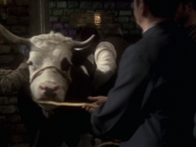 extant_StarTrek_VOY_6x17-SpiritFolk_01182.jpg