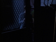 extant_StarTrek_VOY_6x17-SpiritFolk_01487.jpg