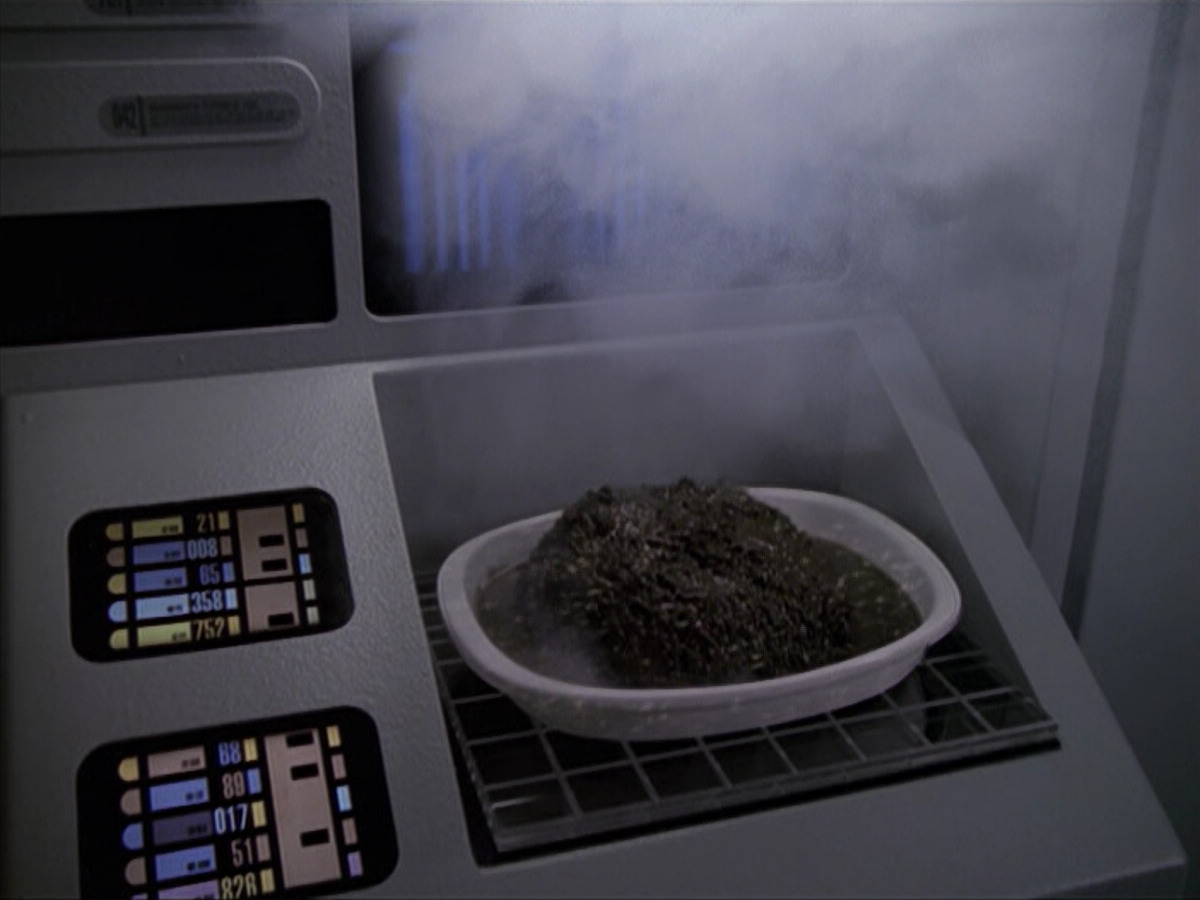 extant_StarTrek_VOY_6x18-AshesToAshes_02032.jpg