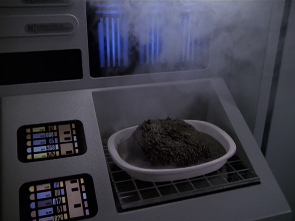 extant_StarTrek_VOY_6x18-AshesToAshes_02033.jpg
