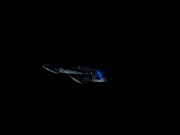 Filename=extant_StarTrek_VOY_6x18-AshesToAshes_00567.jpg
Filesize=65KiB
Dimensions=1200x900
Date added=Jan 02, 2020 extant_StarTrek_VOY_6x18-AshesToAshes_00567.jpg