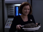 extant_StarTrek_VOY_6x18-AshesToAshes_02054.jpg