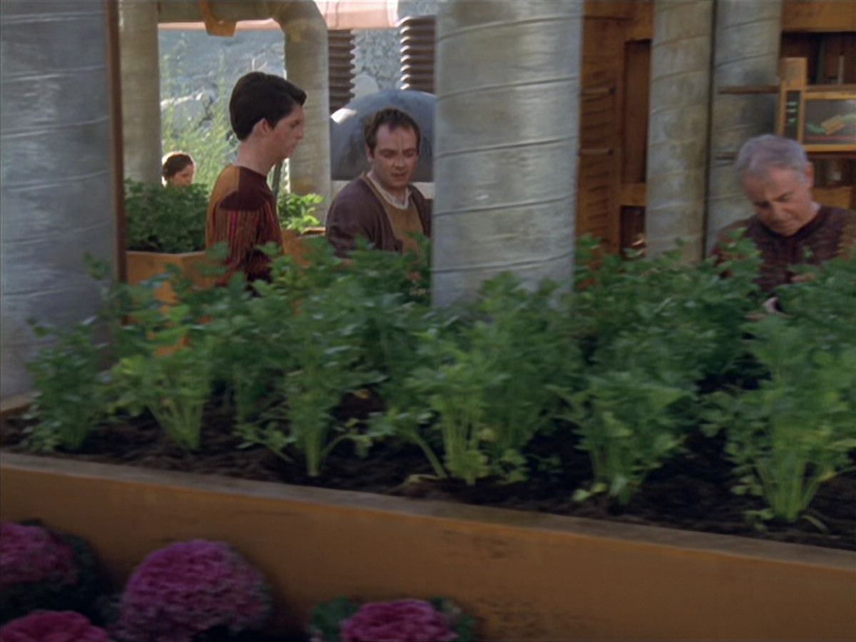 extant_StarTrek_VOY_6x19-ChildsPlay_01781.jpg