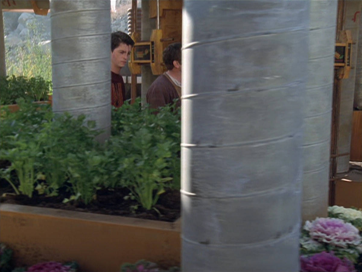extant_StarTrek_VOY_6x19-ChildsPlay_01783.jpg