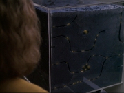 Filename=extant_StarTrek_VOY_6x19-ChildsPlay_00026.jpg
Filesize=170KiB
Dimensions=1200x900
Date added=Jan 03, 2020 extant_StarTrek_VOY_6x19-ChildsPlay_00026.jpg