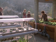 Filename=extant_StarTrek_VOY_6x19-ChildsPlay_01769.jpg
Filesize=253KiB
Dimensions=1200x900
Date added=Jan 03, 2020 extant_StarTrek_VOY_6x19-ChildsPlay_01769.jpg
