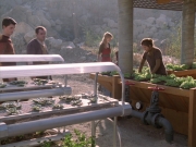 Filename=extant_StarTrek_VOY_6x19-ChildsPlay_01770.jpg
Filesize=246KiB
Dimensions=1200x900
Date added=Jan 03, 2020 extant_StarTrek_VOY_6x19-ChildsPlay_01770.jpg