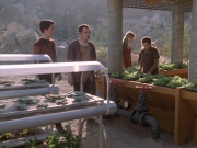 Filename=extant_StarTrek_VOY_6x19-ChildsPlay_01772.jpg
Filesize=230KiB
Dimensions=1200x900
Date added=Jan 03, 2020 extant_StarTrek_VOY_6x19-ChildsPlay_01772.jpg