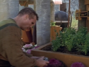 Filename=extant_StarTrek_VOY_6x19-ChildsPlay_01779.jpg
Filesize=197KiB
Dimensions=1200x900
Date added=Jan 03, 2020 extant_StarTrek_VOY_6x19-ChildsPlay_01779.jpg