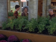 Filename=extant_StarTrek_VOY_6x19-ChildsPlay_01781.jpg
Filesize=203KiB
Dimensions=1200x900
Date added=Jan 03, 2020 extant_StarTrek_VOY_6x19-ChildsPlay_01781.jpg