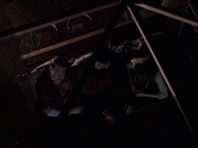 Filename=extant_StarTrek_VOY_6x19-ChildsPlay_02294.jpg
Filesize=139KiB
Dimensions=1200x900
Date added=Jan 03, 2020 extant_StarTrek_VOY_6x19-ChildsPlay_02294.jpg