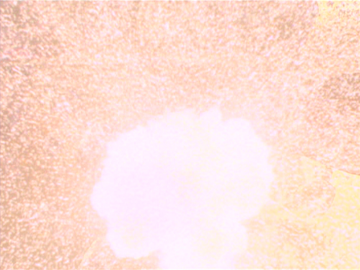 extant_StarTrek_VOY_6x20-GoodShepherd_03500.jpg