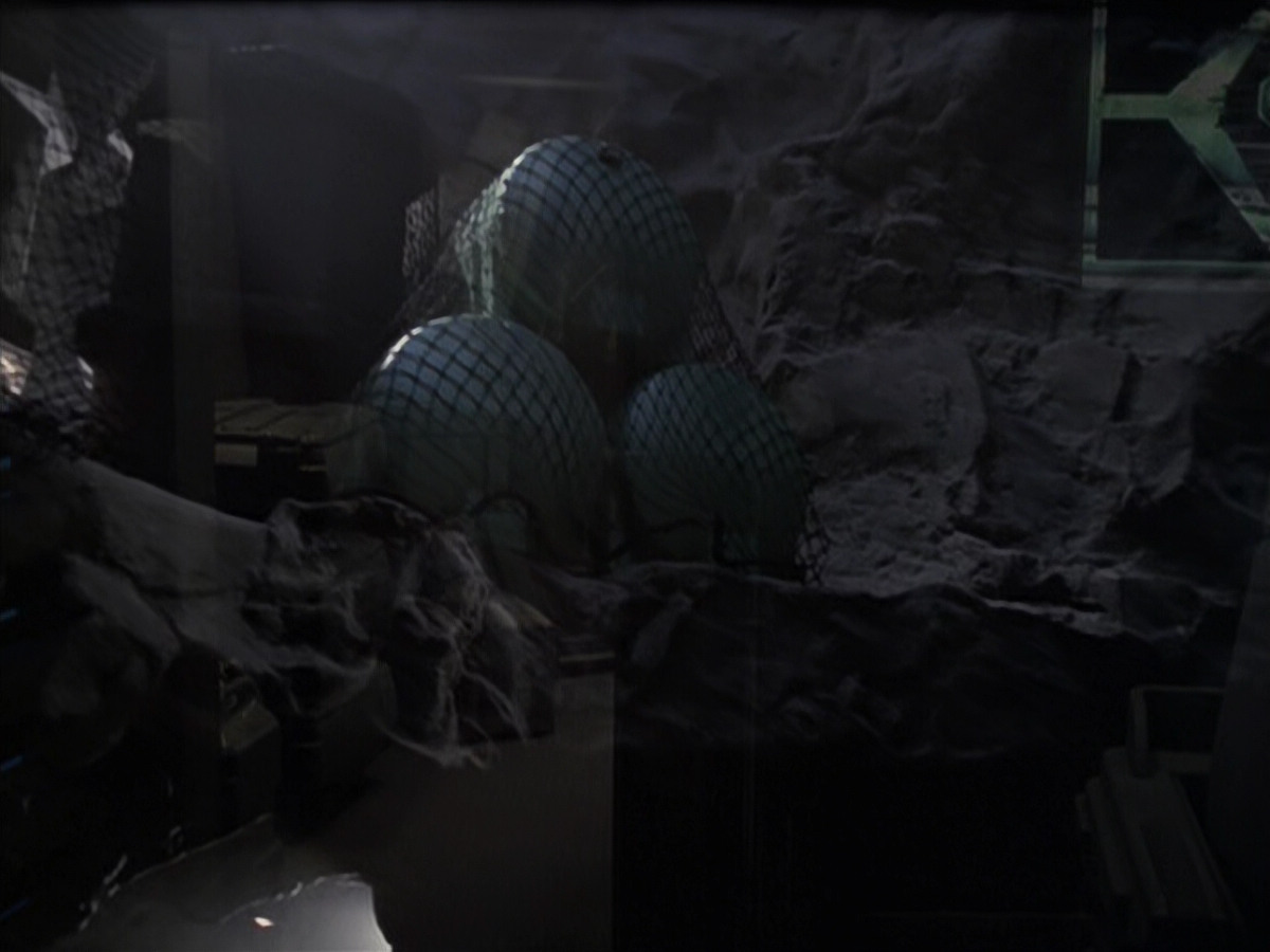 extant_StarTrek_VOY_6x21-LiveFastAndProsper_03359.jpg
