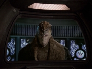 Filename=extant_StarTrek_VOY_6x21-LiveFastAndProsper_02163.jpg
Filesize=197KiB
Dimensions=1200x900
Date added=Jan 03, 2020 extant_StarTrek_VOY_6x21-LiveFastAndProsper_02163.jpg
