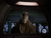 Filename=extant_StarTrek_VOY_6x21-LiveFastAndProsper_02171.jpg
Filesize=189KiB
Dimensions=1200x900
Date added=Jan 03, 2020 extant_StarTrek_VOY_6x21-LiveFastAndProsper_02171.jpg