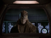 Filename=extant_StarTrek_VOY_6x21-LiveFastAndProsper_02246.jpg
Filesize=156KiB
Dimensions=1200x900
Date added=Jan 03, 2020 extant_StarTrek_VOY_6x21-LiveFastAndProsper_02246.jpg
