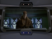extant_StarTrek_VOY_6x21-LiveFastAndProsper_02267.jpg